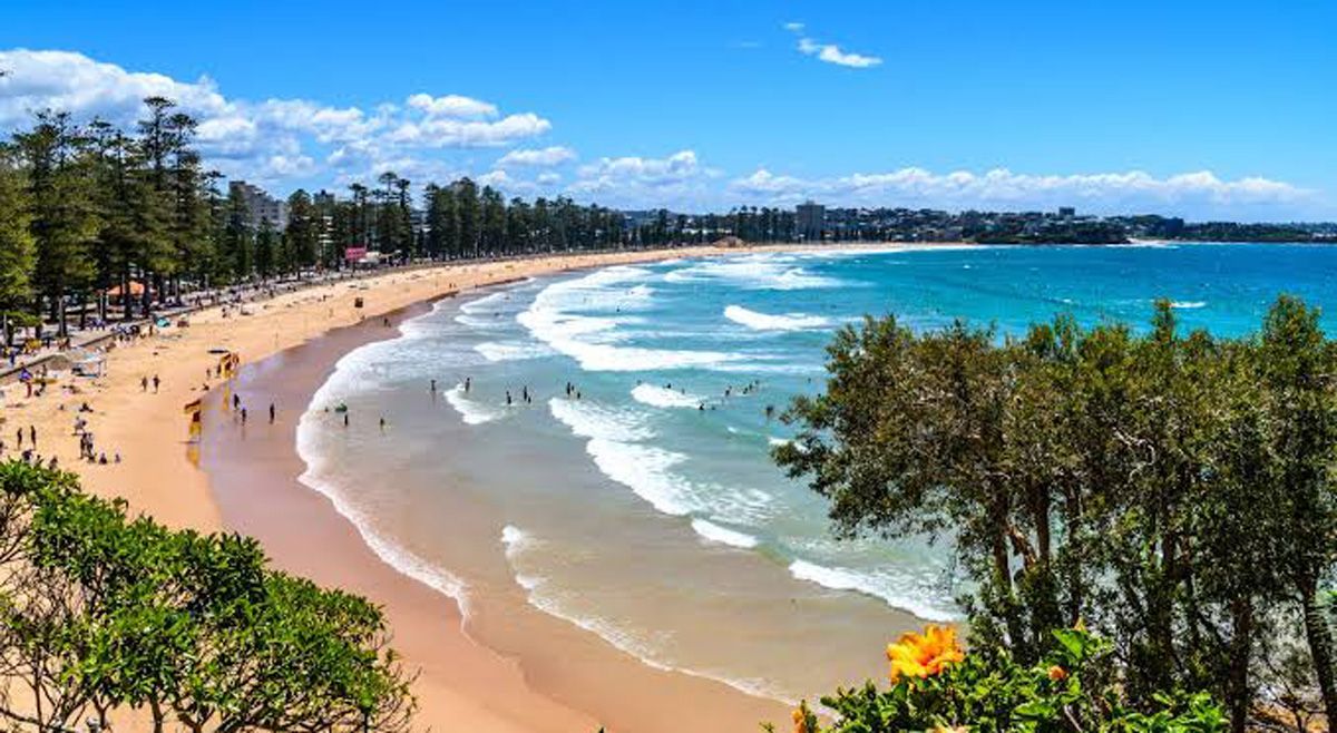 Window cleaning in Northern Beaches (Manly to Narrabeen)