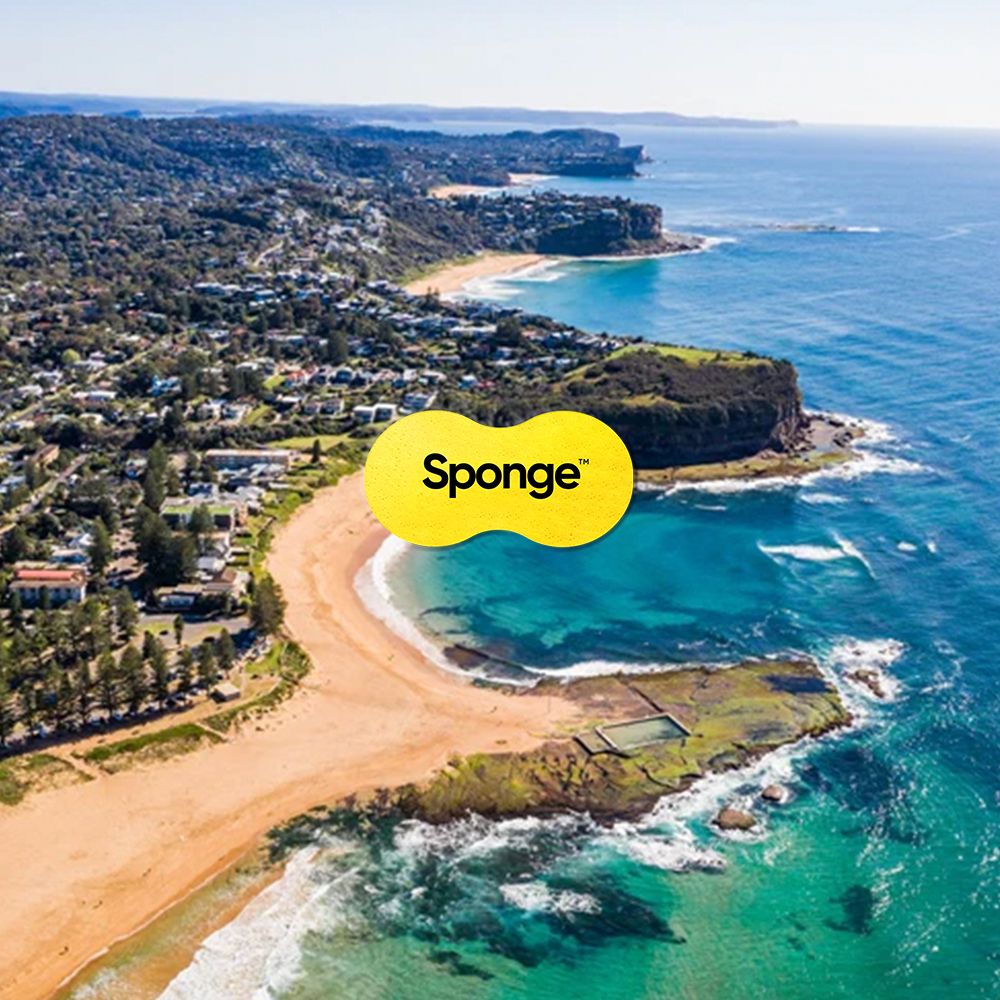 a high shot of the northern beaches, sydney
